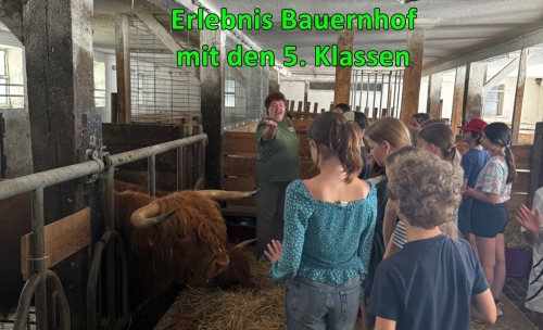 Die 5. Klassen auf dem Erlebnis-Bauernhof